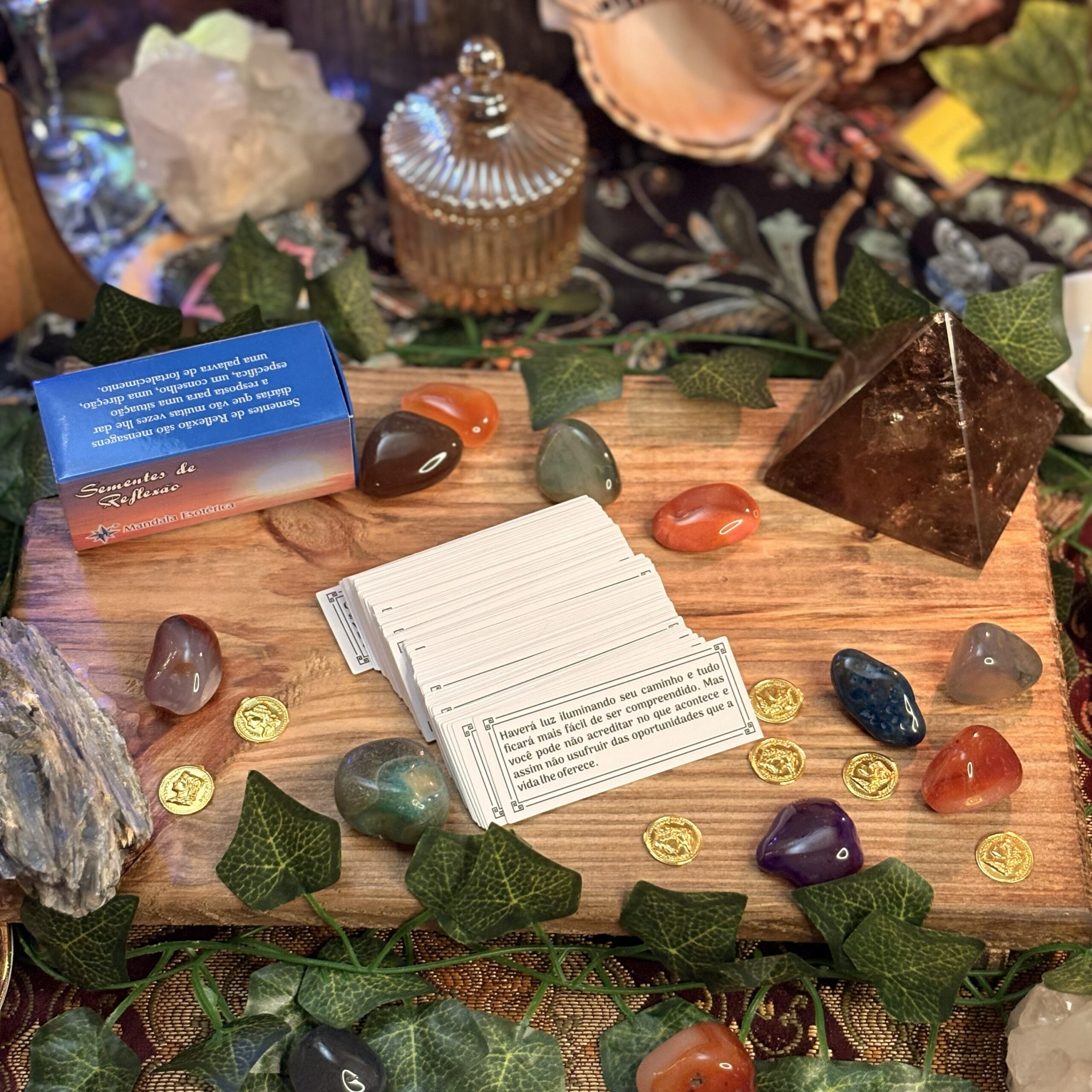 Sementes de Reflexão