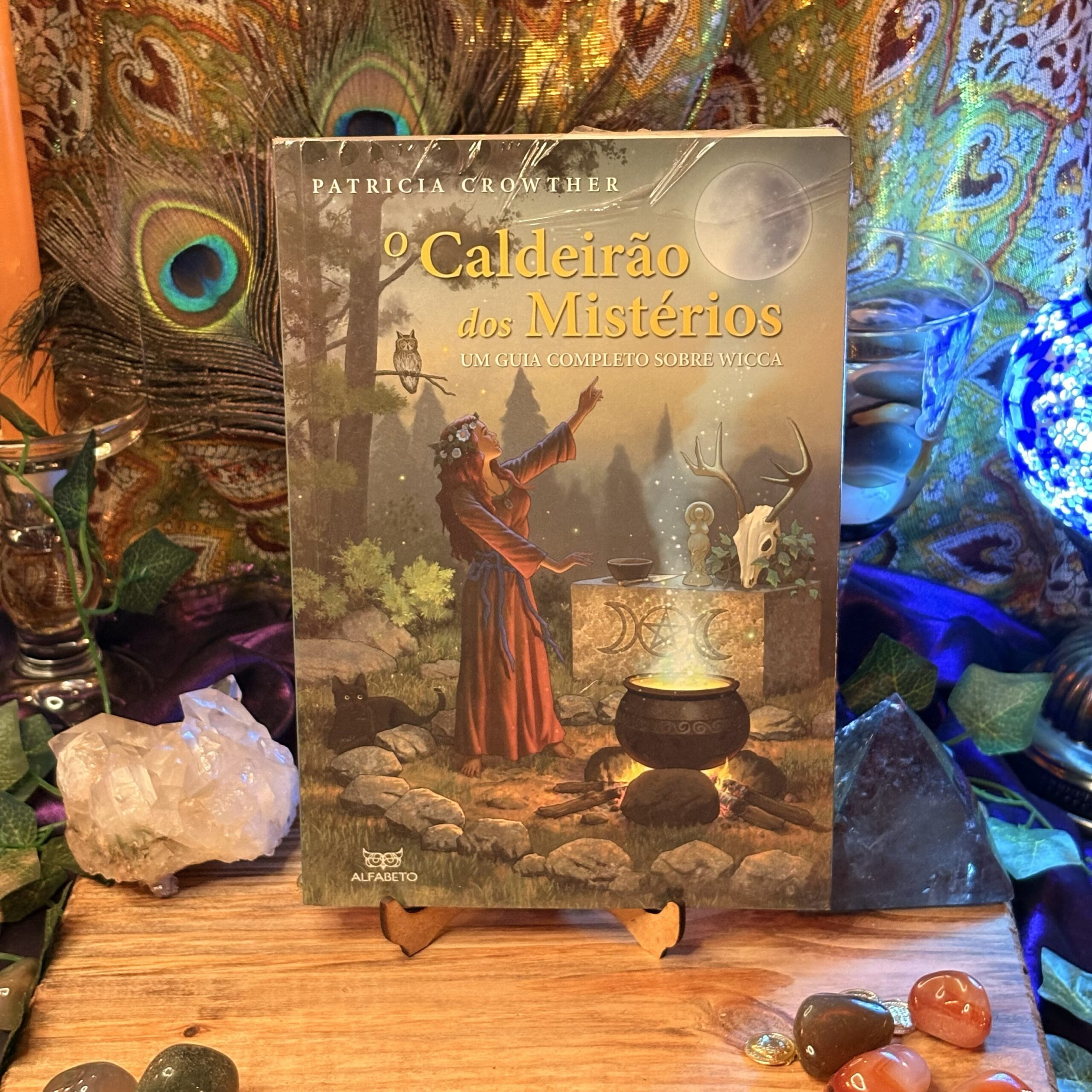 O Caldeirão dos Mistérios - Patrícia Crowther